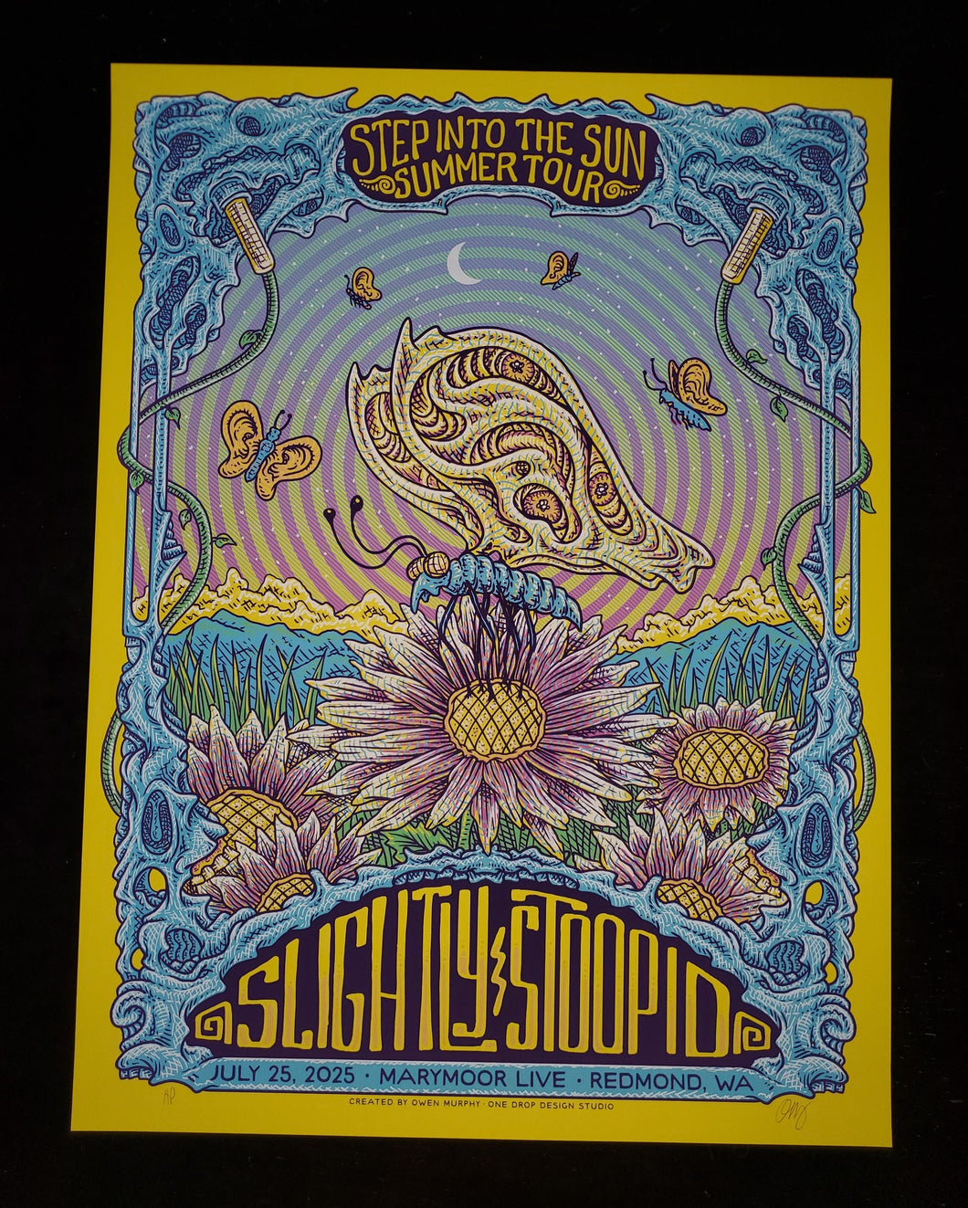 Slightly Stoopid Redmond, WA AP poster